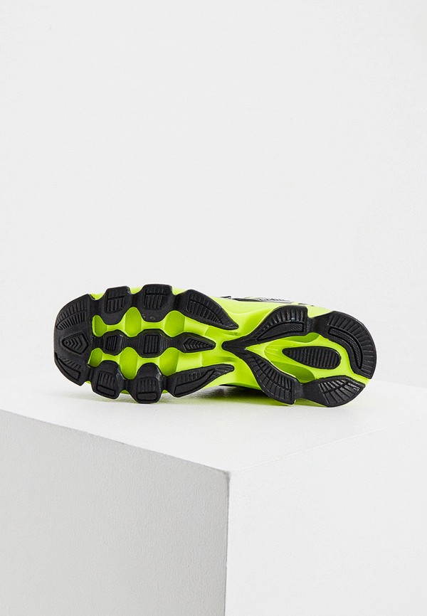 фото Кроссовки plein sport