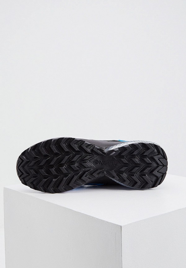 фото Кроссовки plein sport