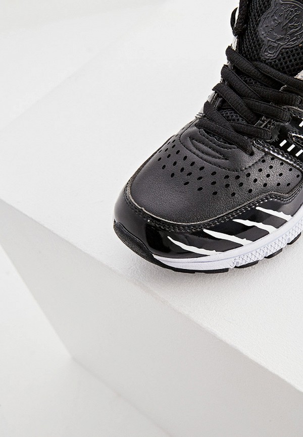 фото Кроссовки plein sport