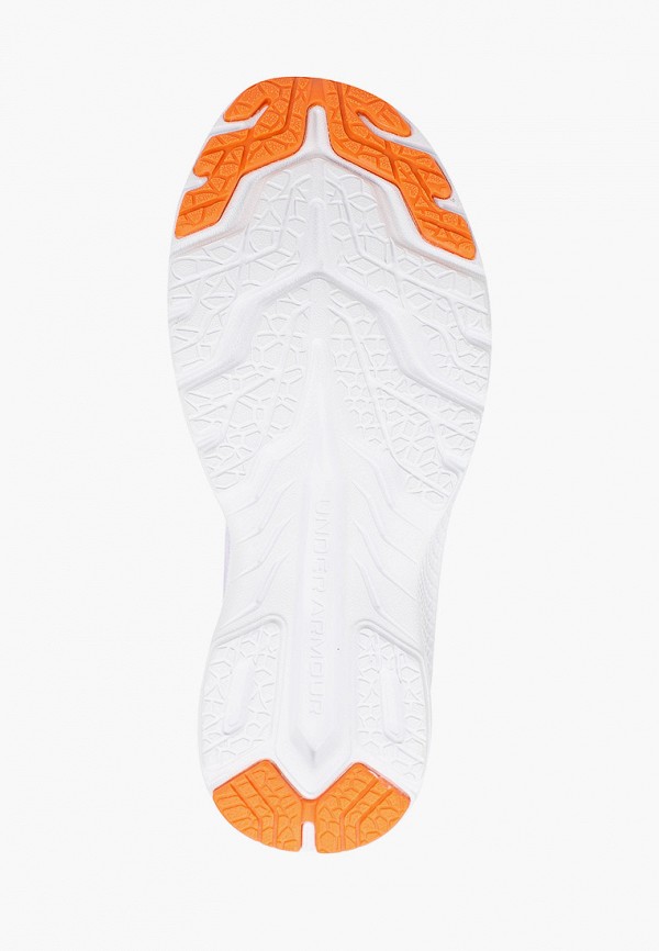 фото Кроссовки under armour