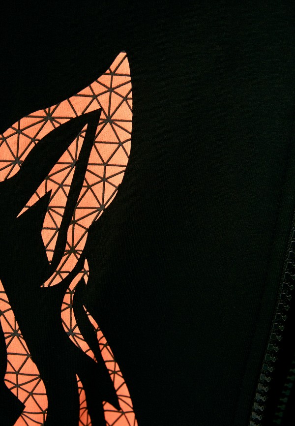 фото Толстовка plein sport