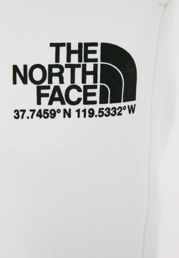 фото Брюки спортивные the north face