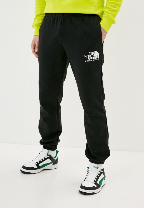 фото Брюки спортивные the north face
