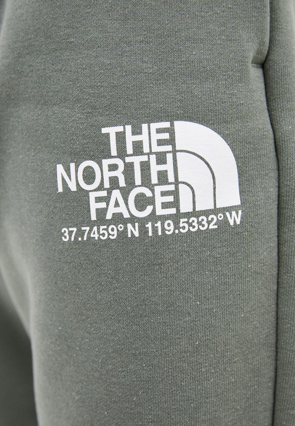 фото Брюки спортивные the north face