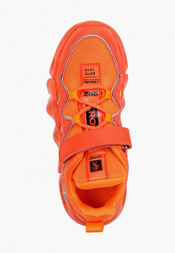 фото Кроссовки crosby