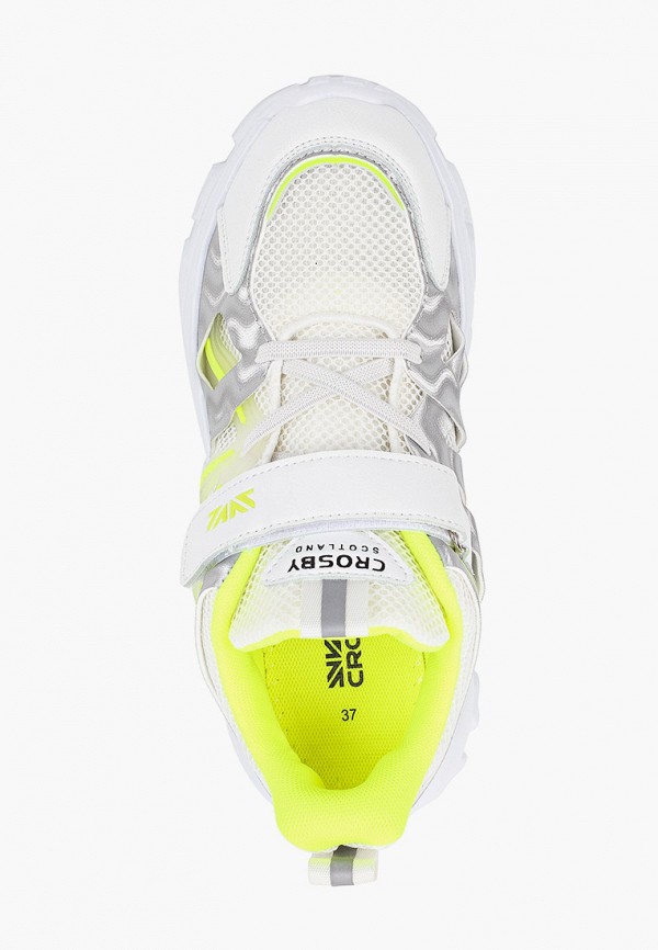 фото Кроссовки crosby