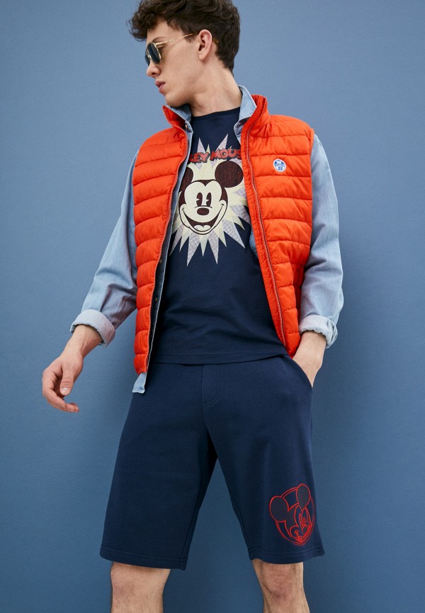 фото Шорты спортивные iceberg