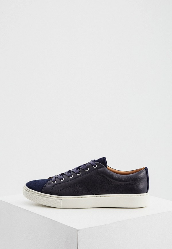 

Кеды Polo Ralph Lauren, Синий