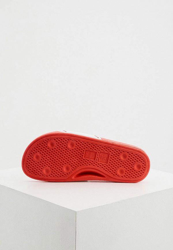 фото Сланцы pollini