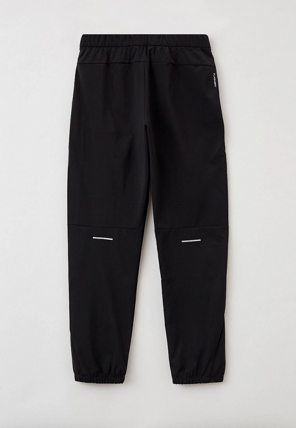 фото Брюки спортивные the north face