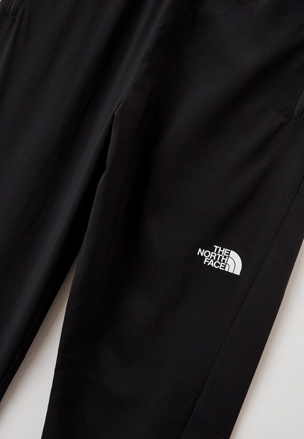 фото Брюки спортивные the north face