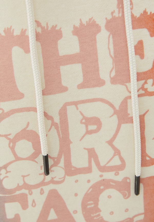 фото Худи the north face