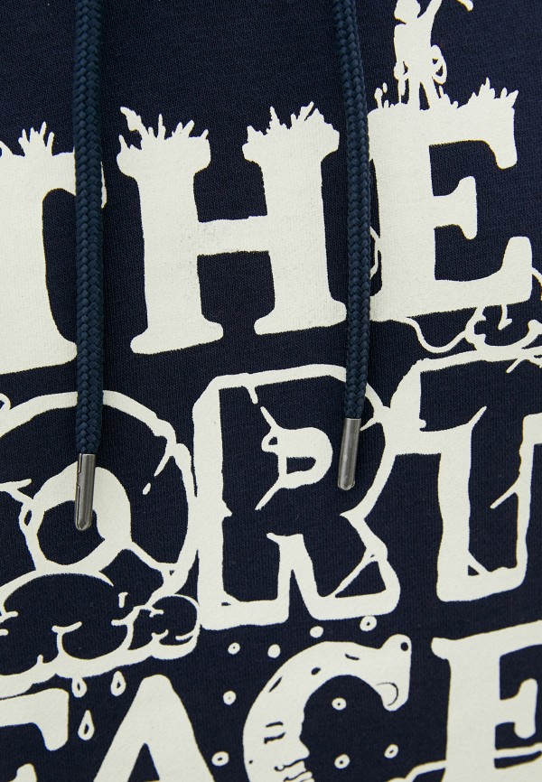 фото Худи the north face