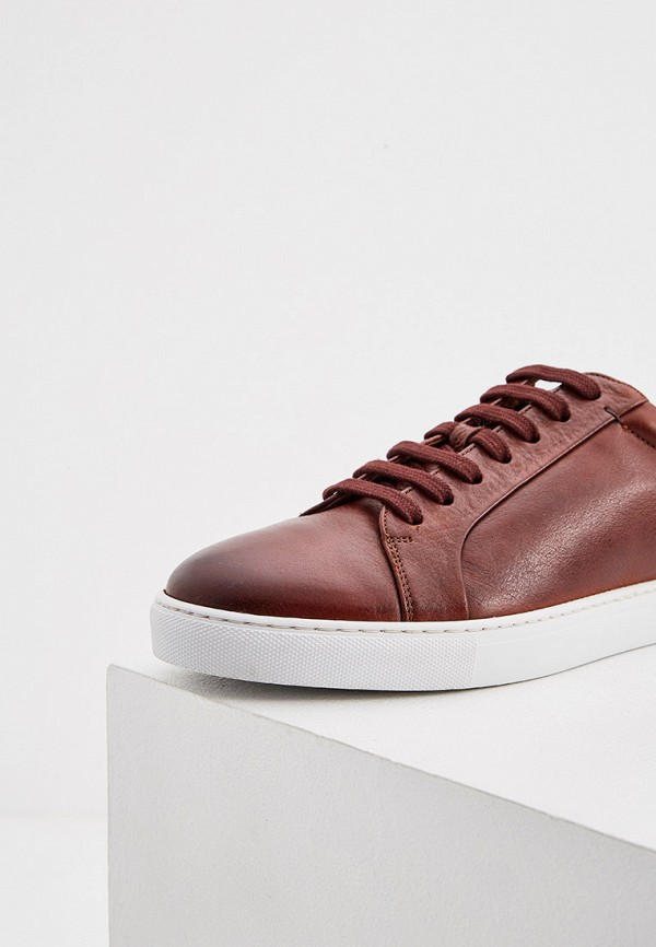фото Кеды ted baker london