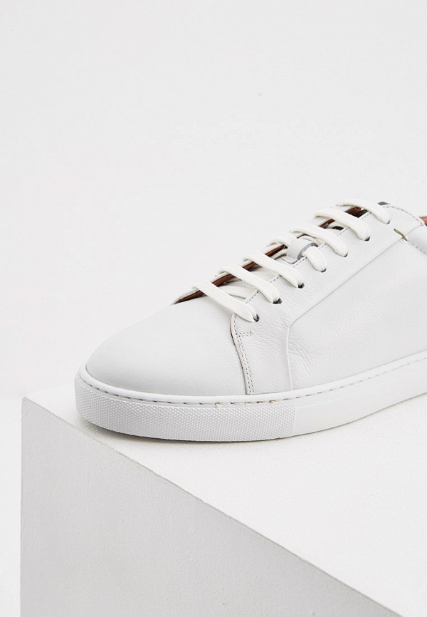 фото Кеды ted baker london