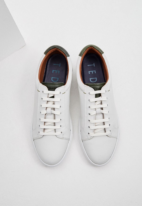 фото Кеды ted baker london