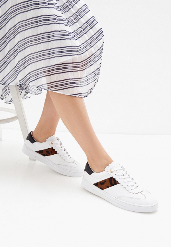 фото Кеды ted baker london