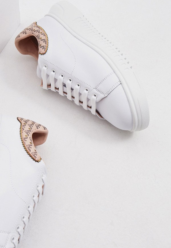 фото Кеды emporio armani