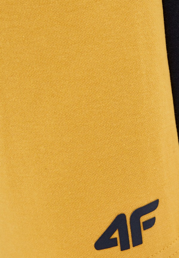 фото Шорты спортивные 4f