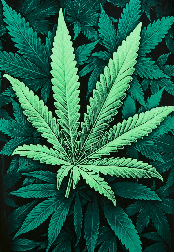 фото Футболка dali