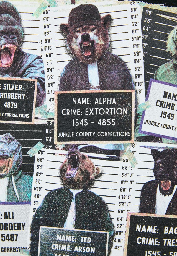 фото Футболка brave soul