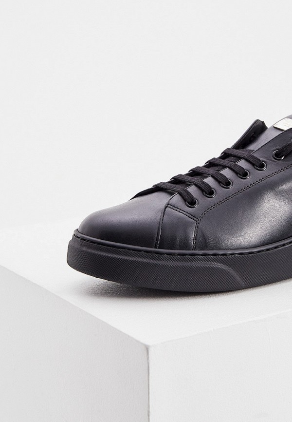 фото Кеды philipp plein