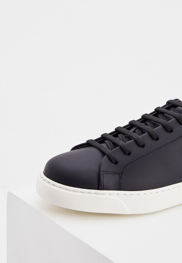 фото Кеды philipp plein