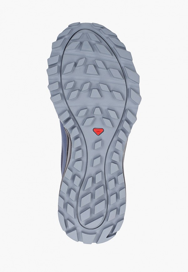 

Кроссовки Salomon, Синий, TRAILSTER 2 GTX W