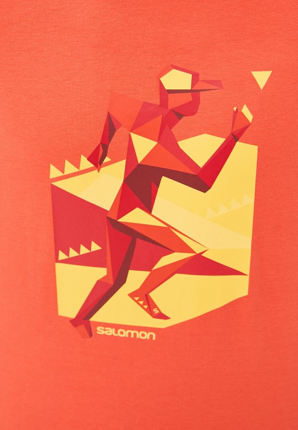 фото Футболка salomon
