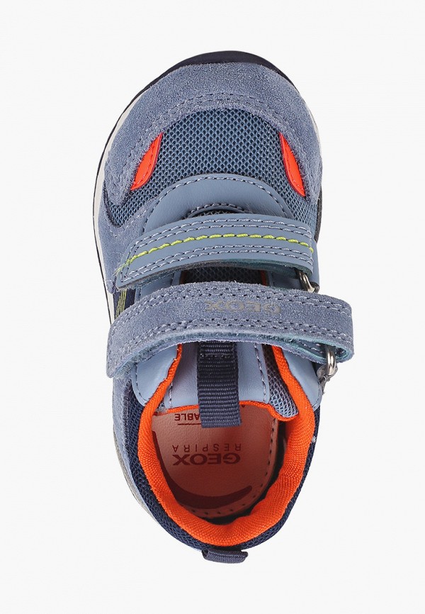 фото Кроссовки geox