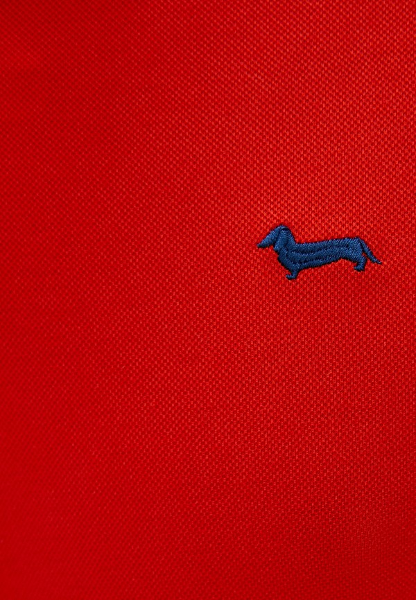 фото Поло harmont & blaine