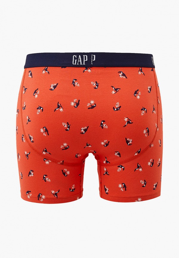 фото Трусы gap