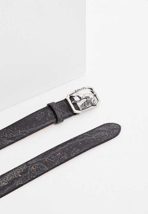 фото Ремень etro