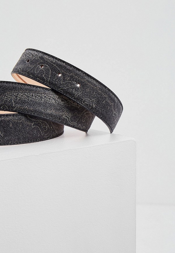 фото Ремень etro