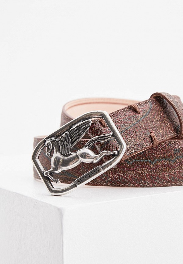 

Ремень Etro, Коричневый