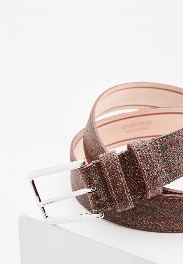 

Ремень Etro, Коричневый