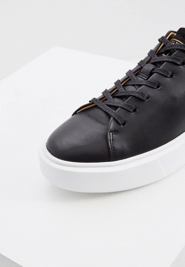 фото Кеды ted baker london