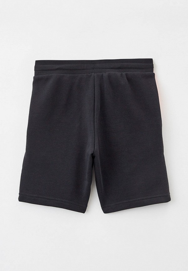 фото Шорты спортивные adidas originals