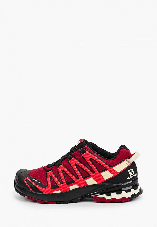

Кроссовки Salomon, Разноцветный, XA PRO 3D v8 GTX
