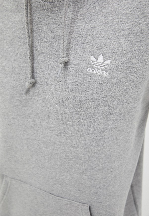 фото Худи adidas originals