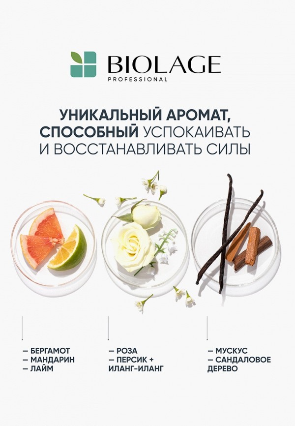 фото Шампунь biolage