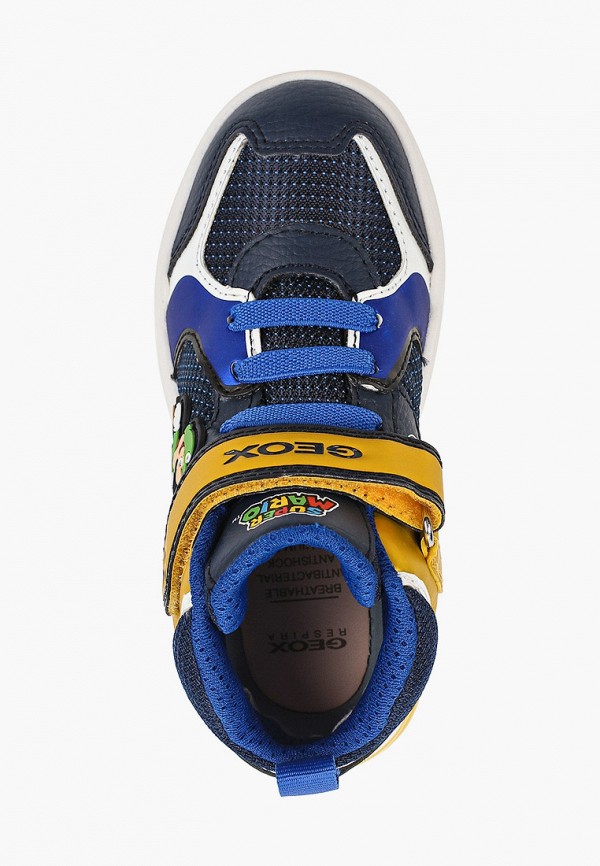 фото Кеды geox