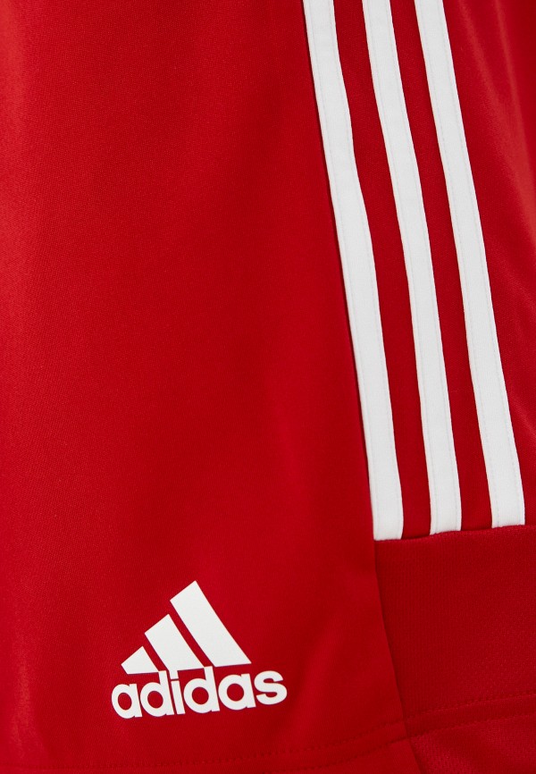 

Шорты спортивные adidas, Красный, adidas RTLAAN163901