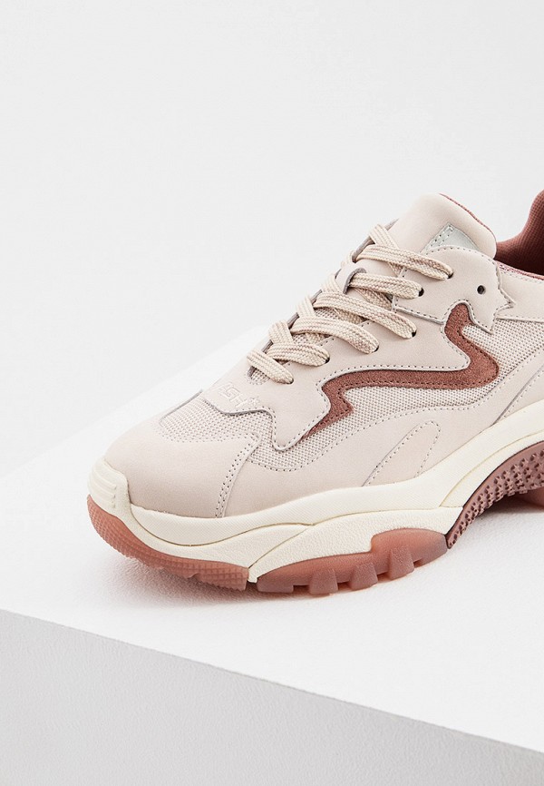 фото Кроссовки ash