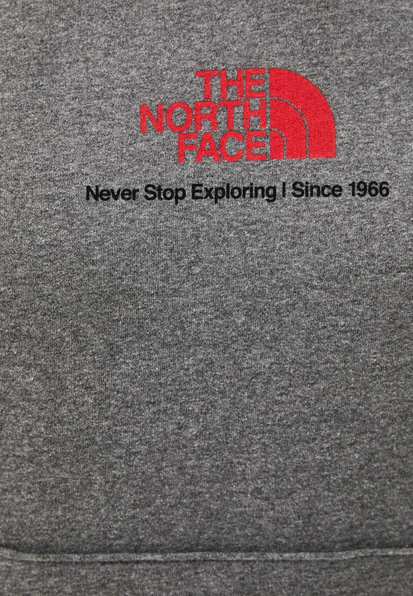 фото Худи the north face