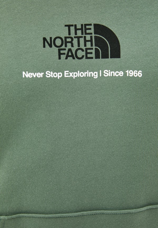 фото Худи the north face