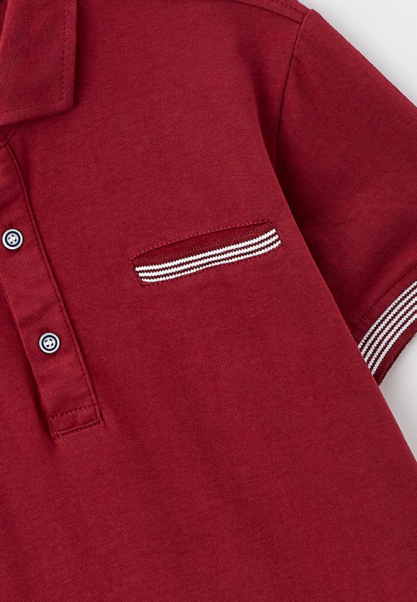 фото Поло dali