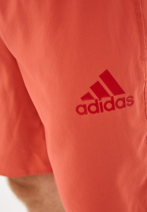 фото Шорты для плавания adidas