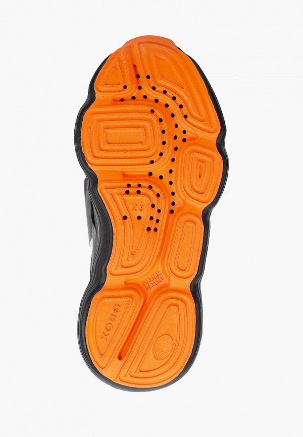 фото Кроссовки geox