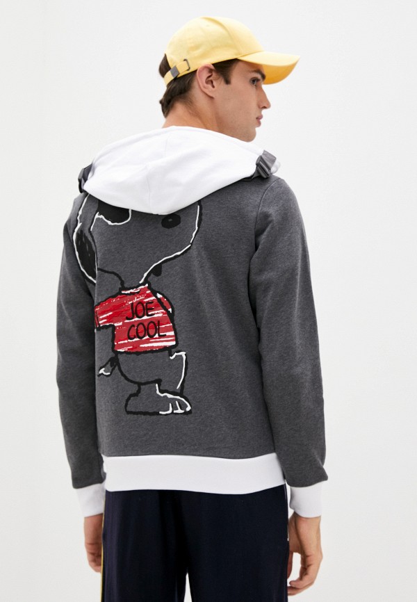 фото Толстовка iceberg